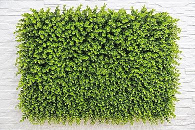 Epic喜加一：《幽港迷城》和《方舟生存进化》免费领